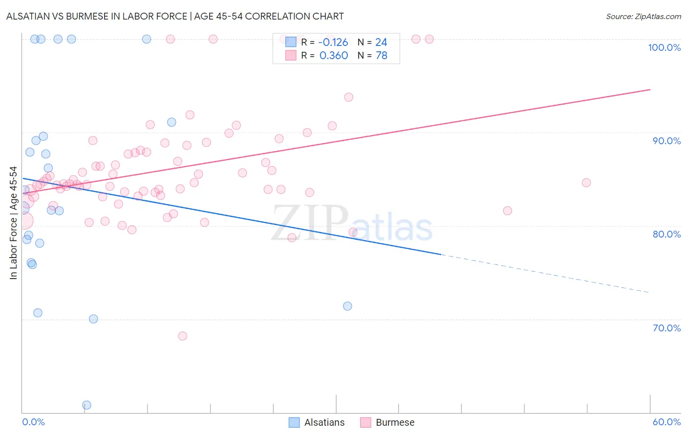 Alsatian vs Burmese In Labor Force | Age 45-54