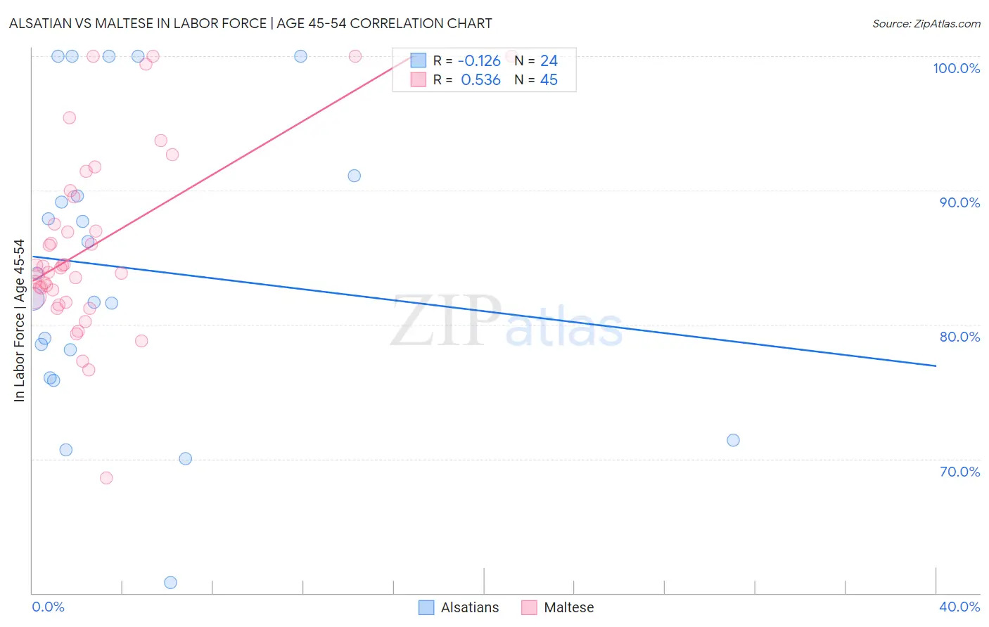 Alsatian vs Maltese In Labor Force | Age 45-54