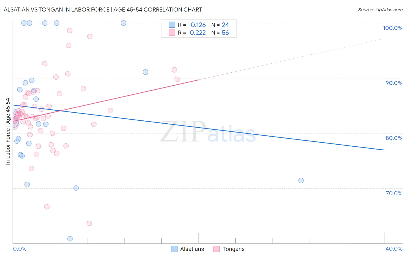 Alsatian vs Tongan In Labor Force | Age 45-54