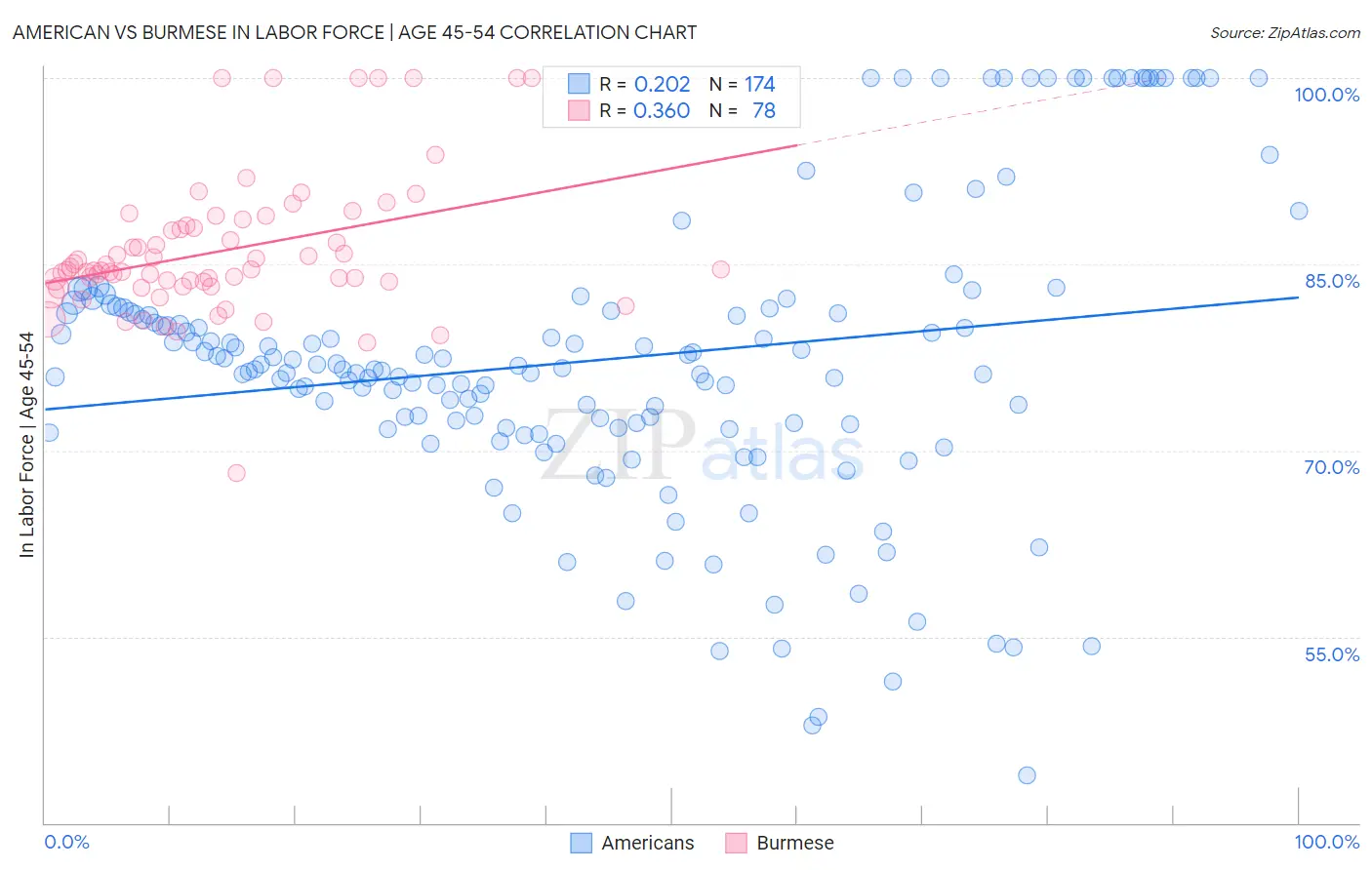 American vs Burmese In Labor Force | Age 45-54