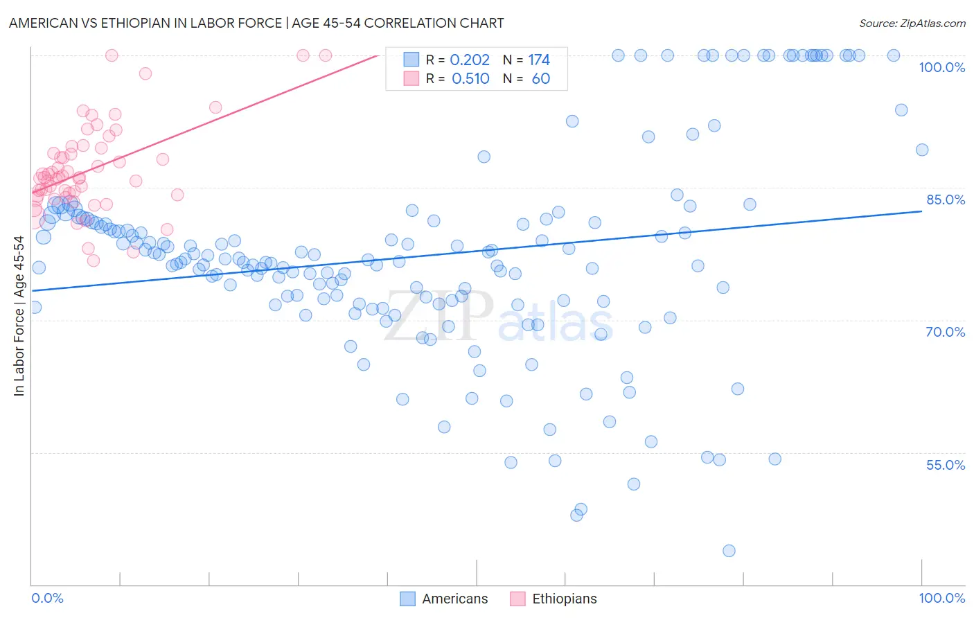 American vs Ethiopian In Labor Force | Age 45-54