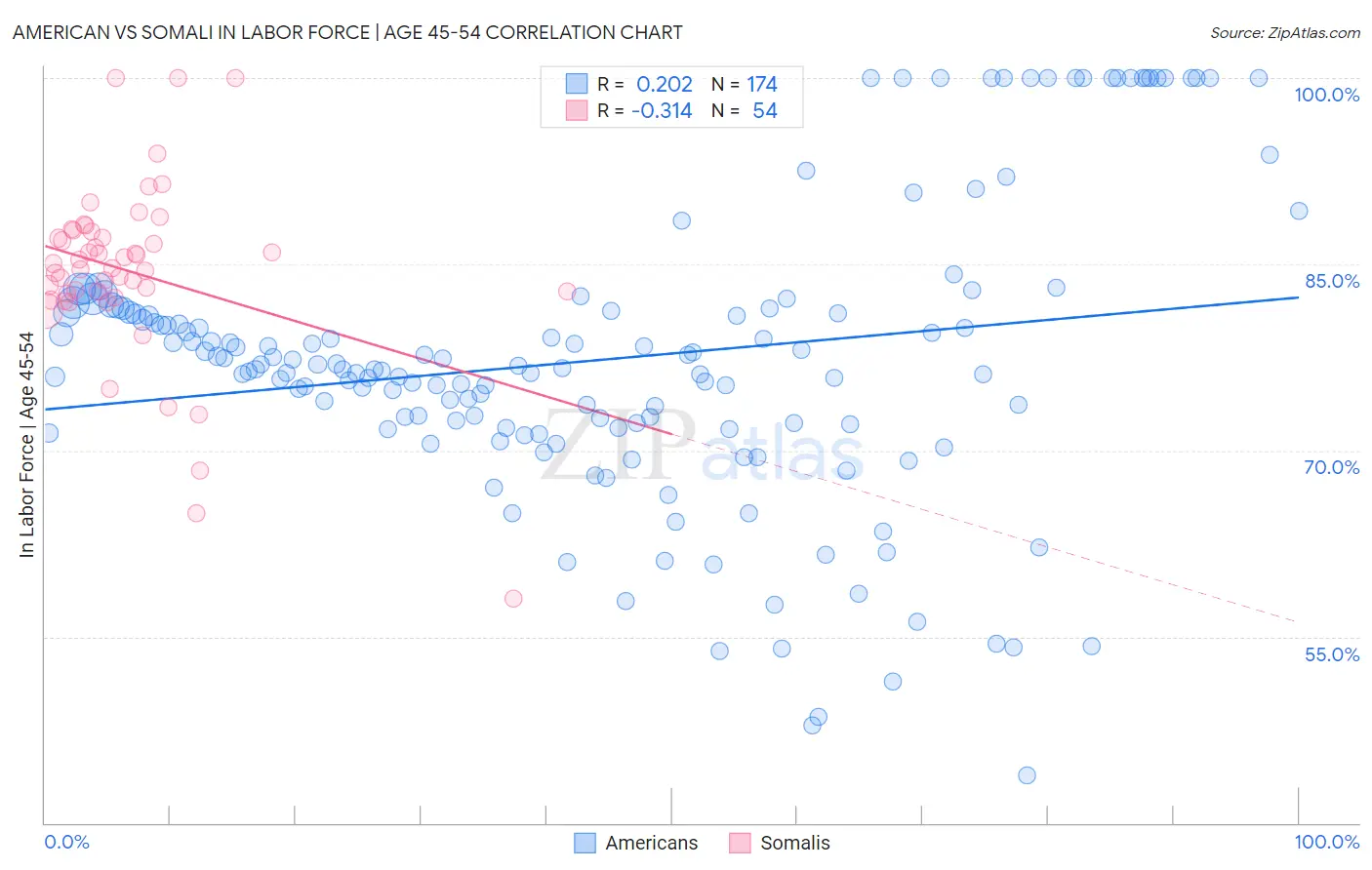 American vs Somali In Labor Force | Age 45-54