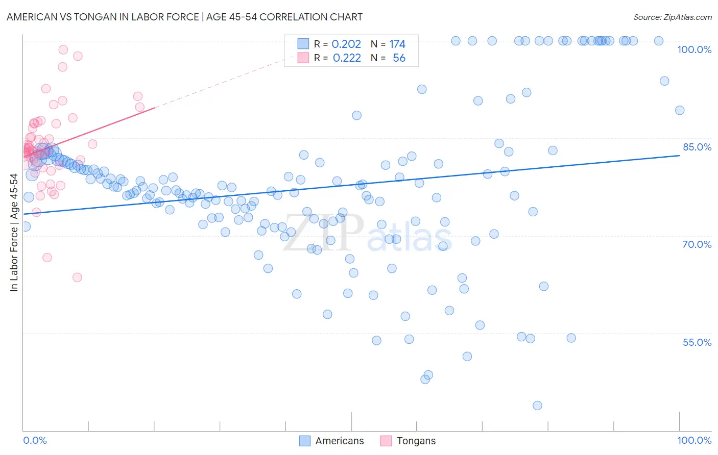 American vs Tongan In Labor Force | Age 45-54