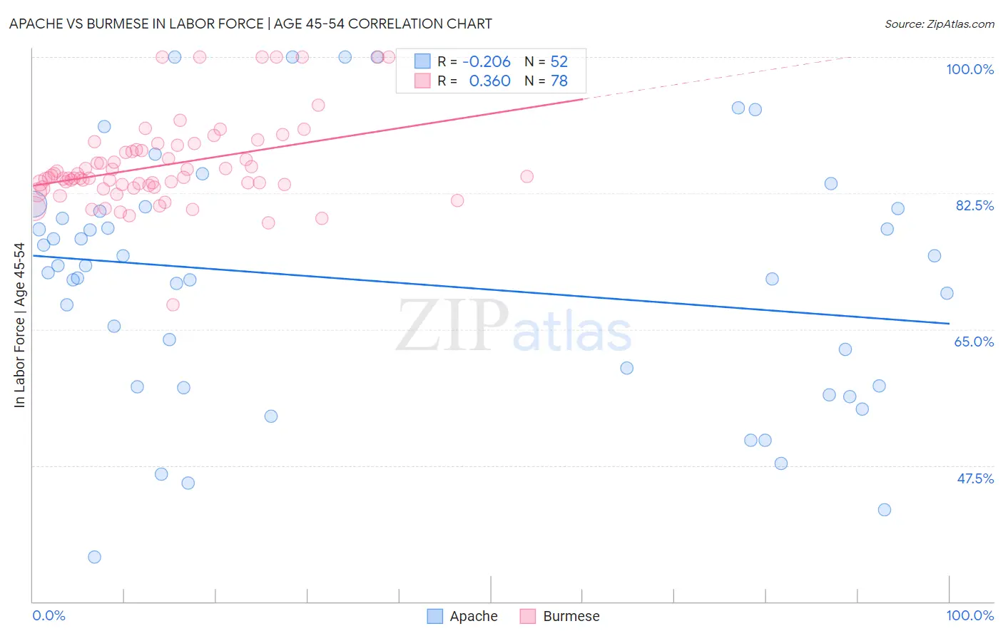 Apache vs Burmese In Labor Force | Age 45-54