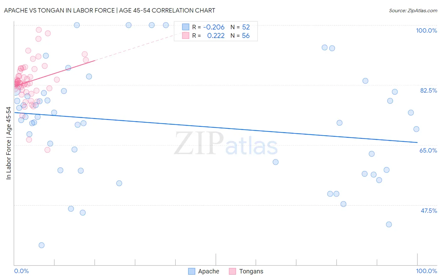 Apache vs Tongan In Labor Force | Age 45-54