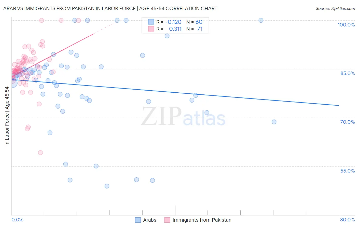 Arab vs Immigrants from Pakistan In Labor Force | Age 45-54