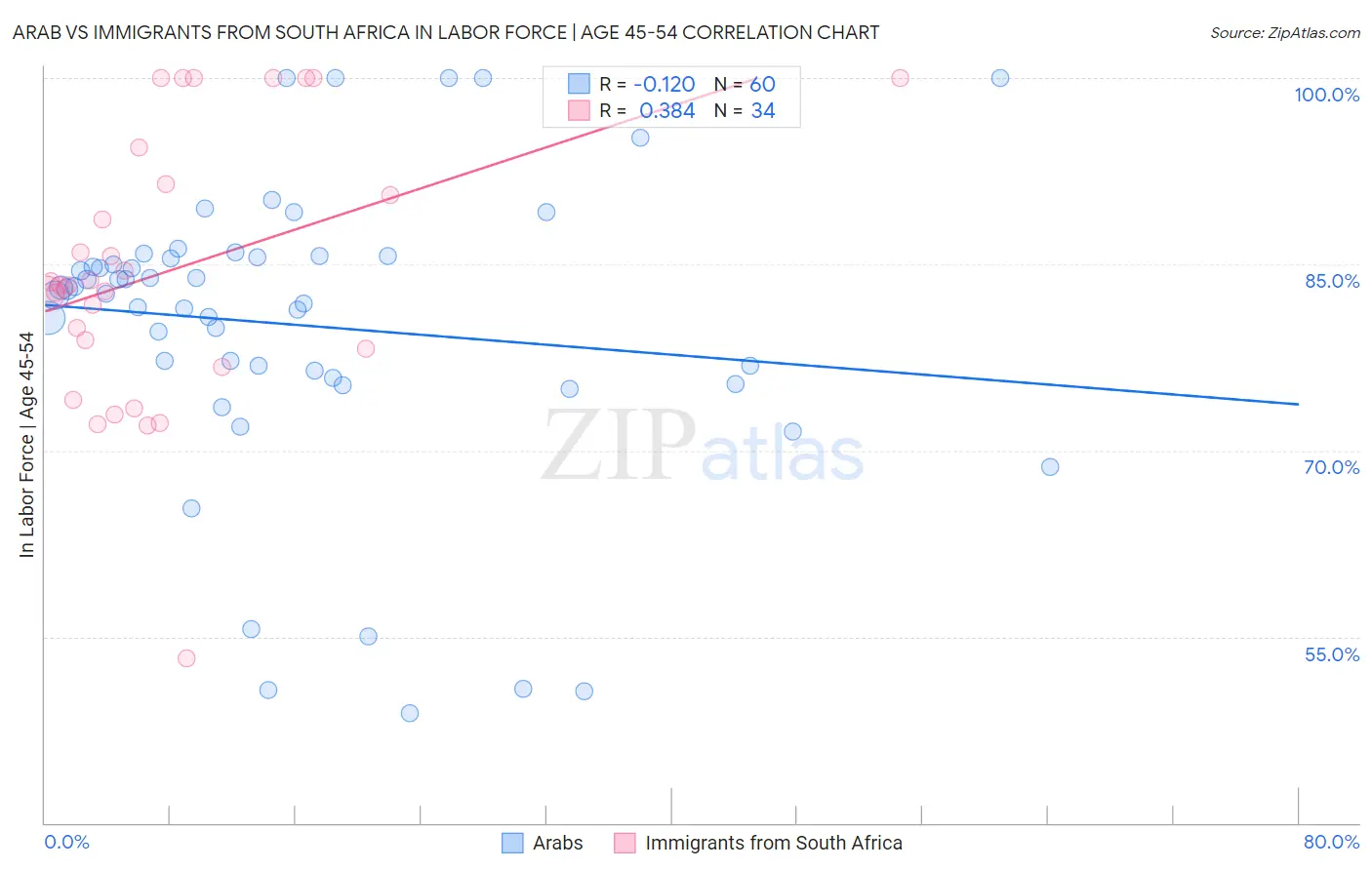 Arab vs Immigrants from South Africa In Labor Force | Age 45-54