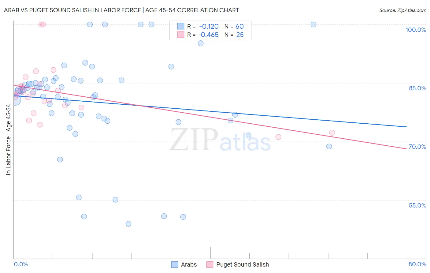 Arab vs Puget Sound Salish In Labor Force | Age 45-54