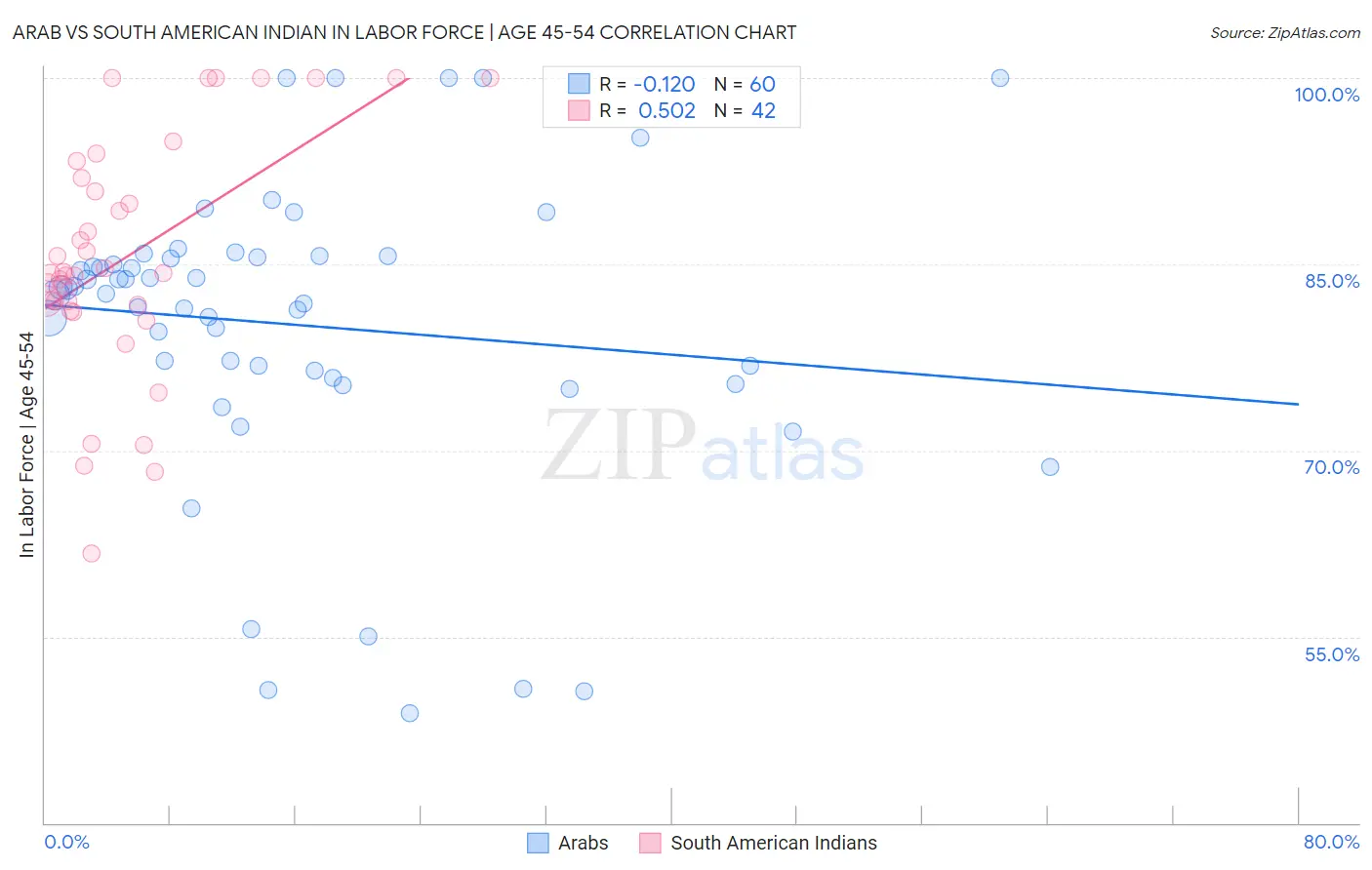 Arab vs South American Indian In Labor Force | Age 45-54