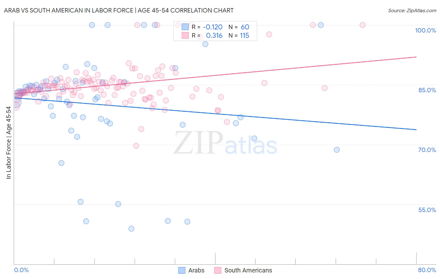 Arab vs South American In Labor Force | Age 45-54