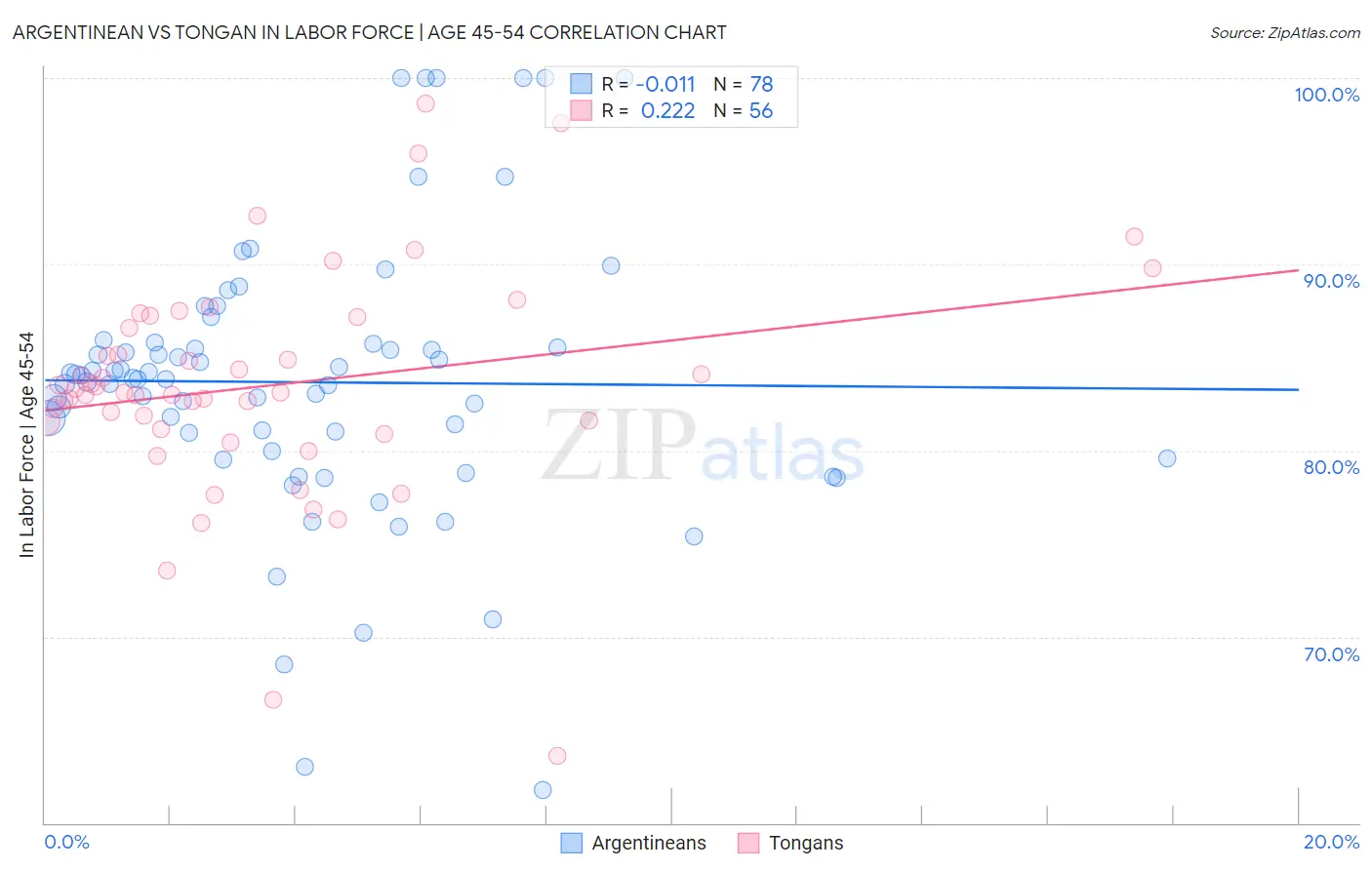 Argentinean vs Tongan In Labor Force | Age 45-54