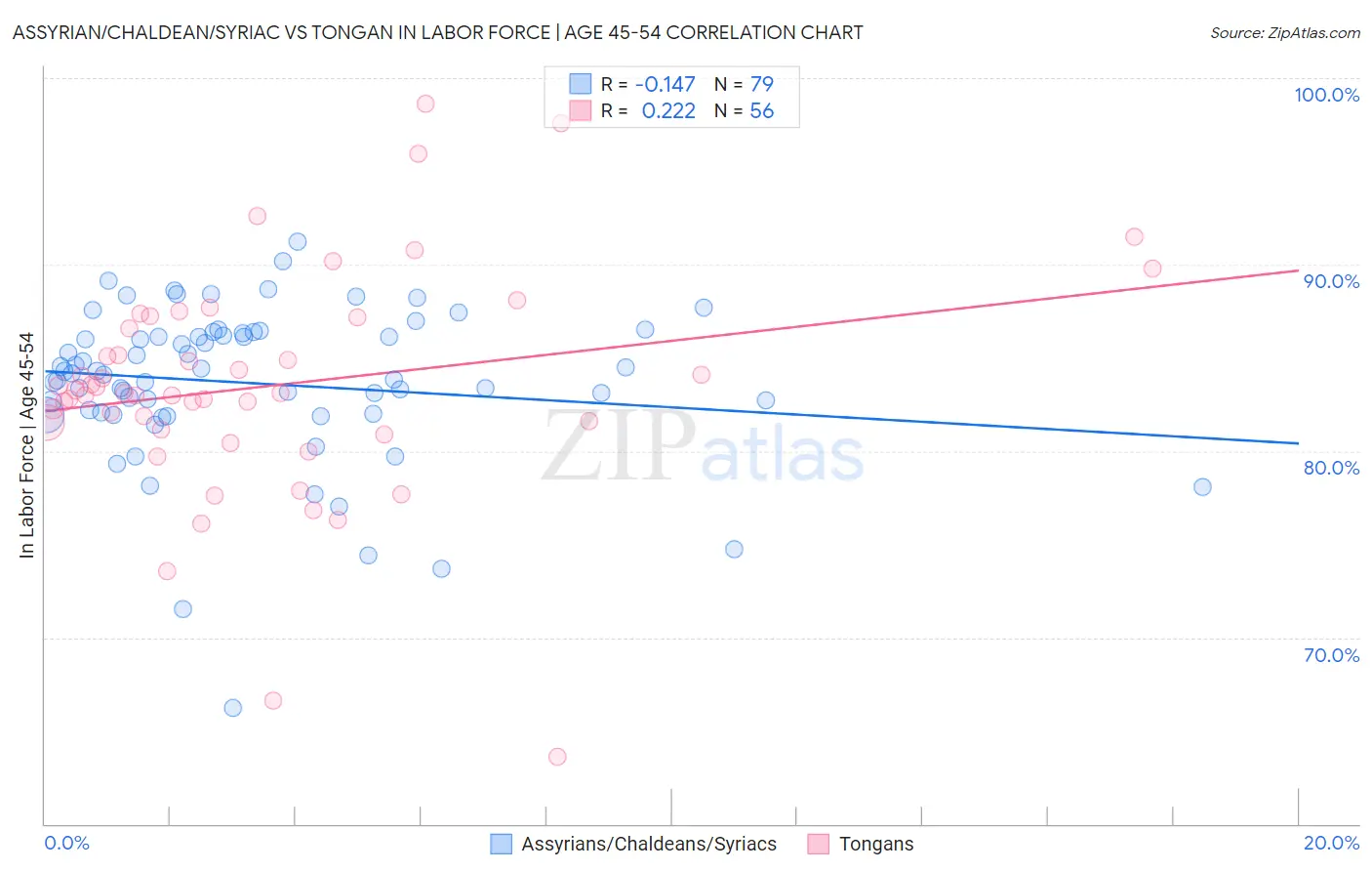 Assyrian/Chaldean/Syriac vs Tongan In Labor Force | Age 45-54