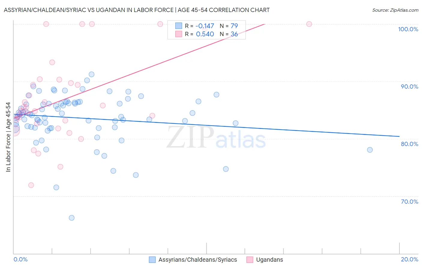 Assyrian/Chaldean/Syriac vs Ugandan In Labor Force | Age 45-54