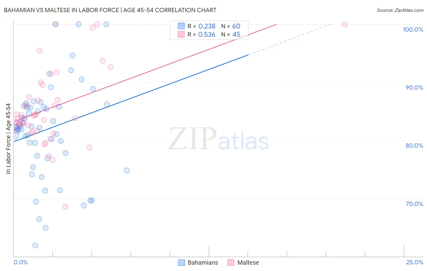 Bahamian vs Maltese In Labor Force | Age 45-54
