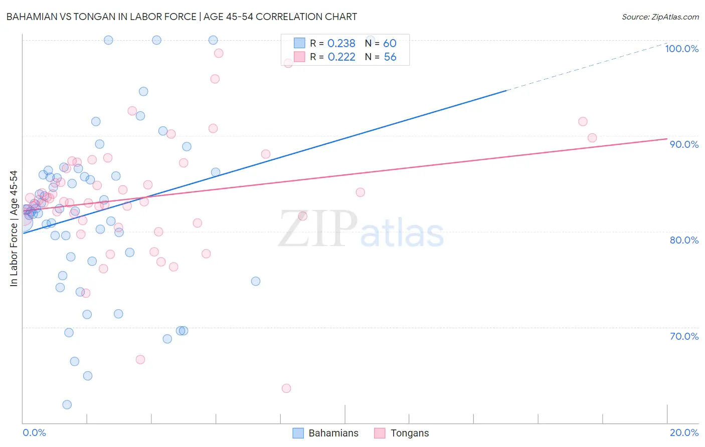 Bahamian vs Tongan In Labor Force | Age 45-54