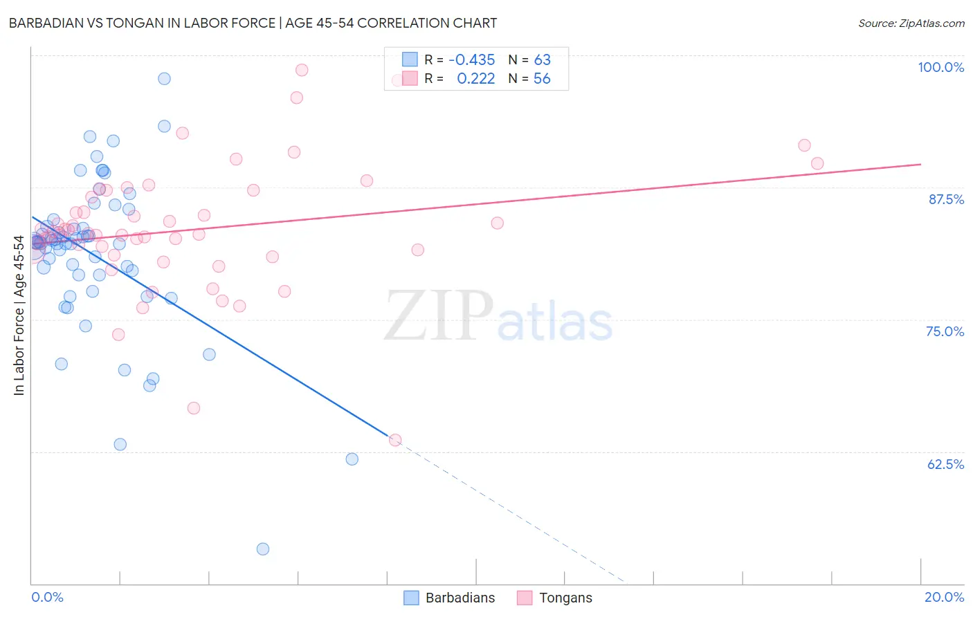 Barbadian vs Tongan In Labor Force | Age 45-54