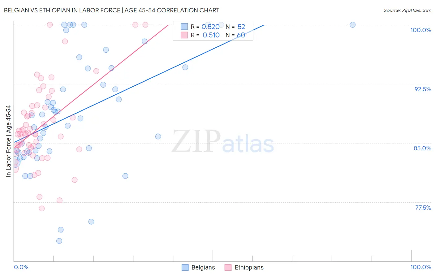 Belgian vs Ethiopian In Labor Force | Age 45-54