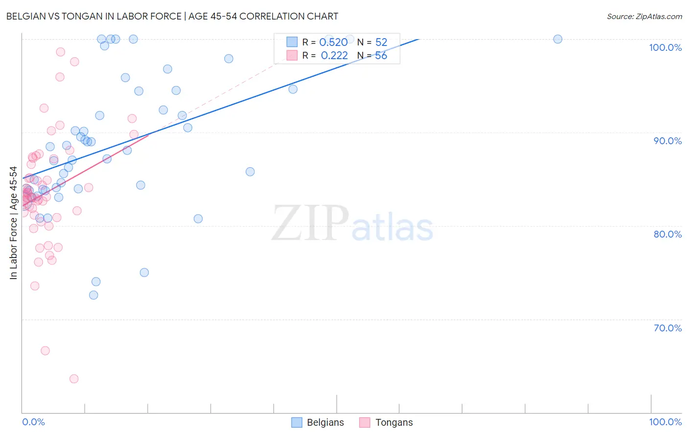 Belgian vs Tongan In Labor Force | Age 45-54