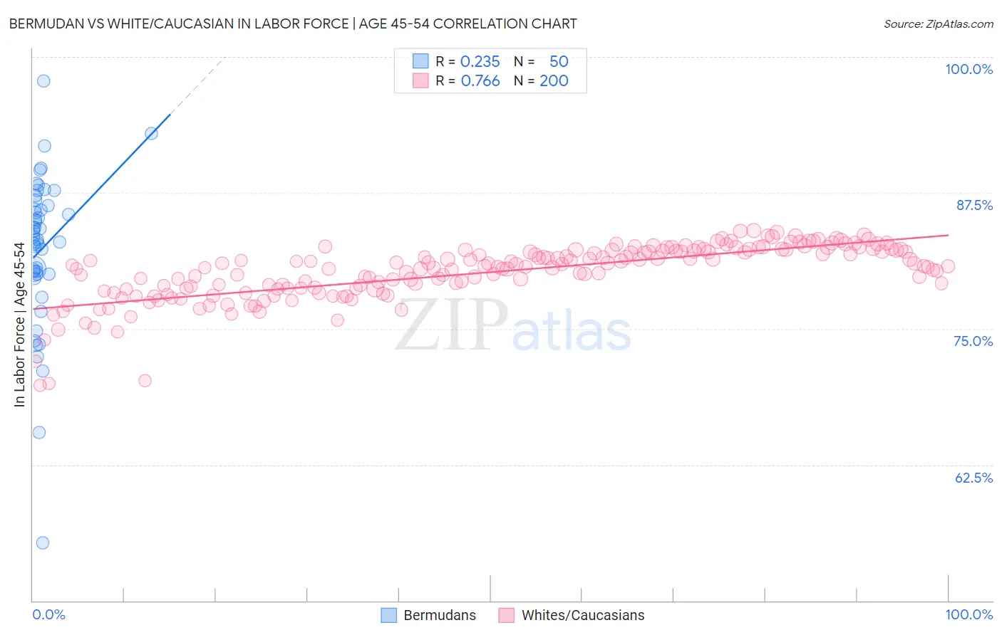 Bermudan vs White/Caucasian In Labor Force | Age 45-54