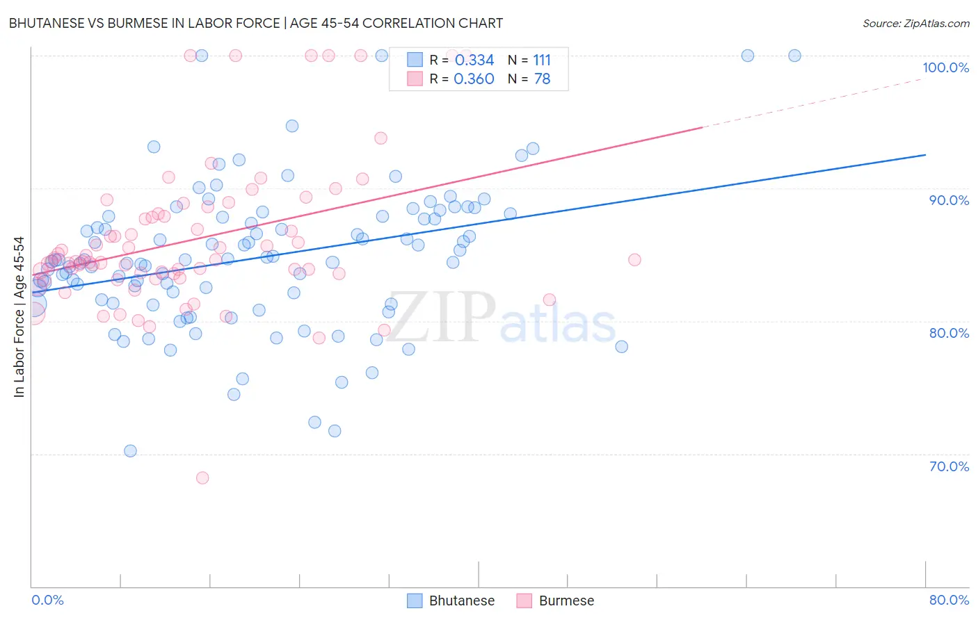 Bhutanese vs Burmese In Labor Force | Age 45-54