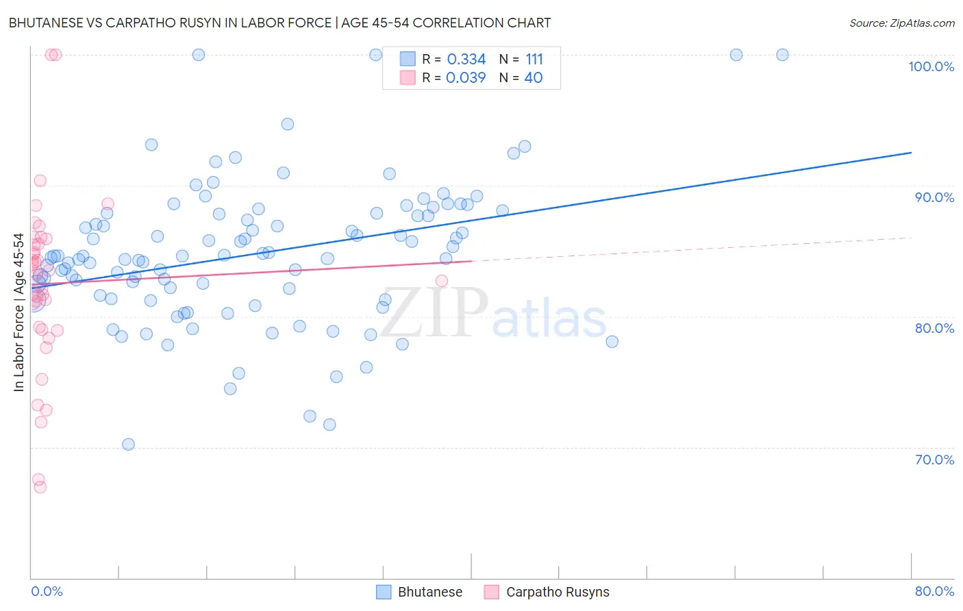 Bhutanese vs Carpatho Rusyn In Labor Force | Age 45-54