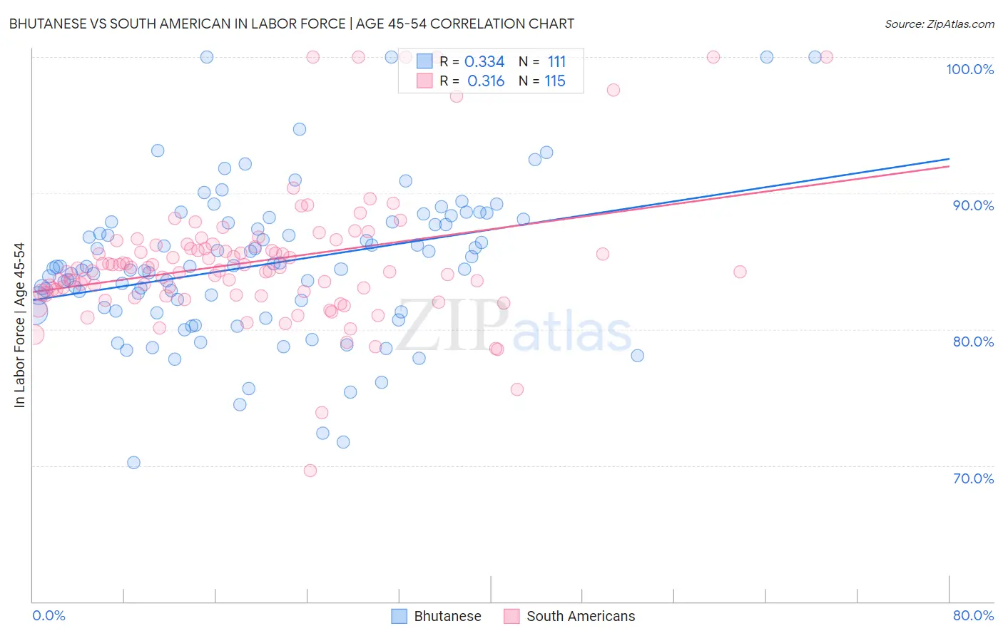 Bhutanese vs South American In Labor Force | Age 45-54