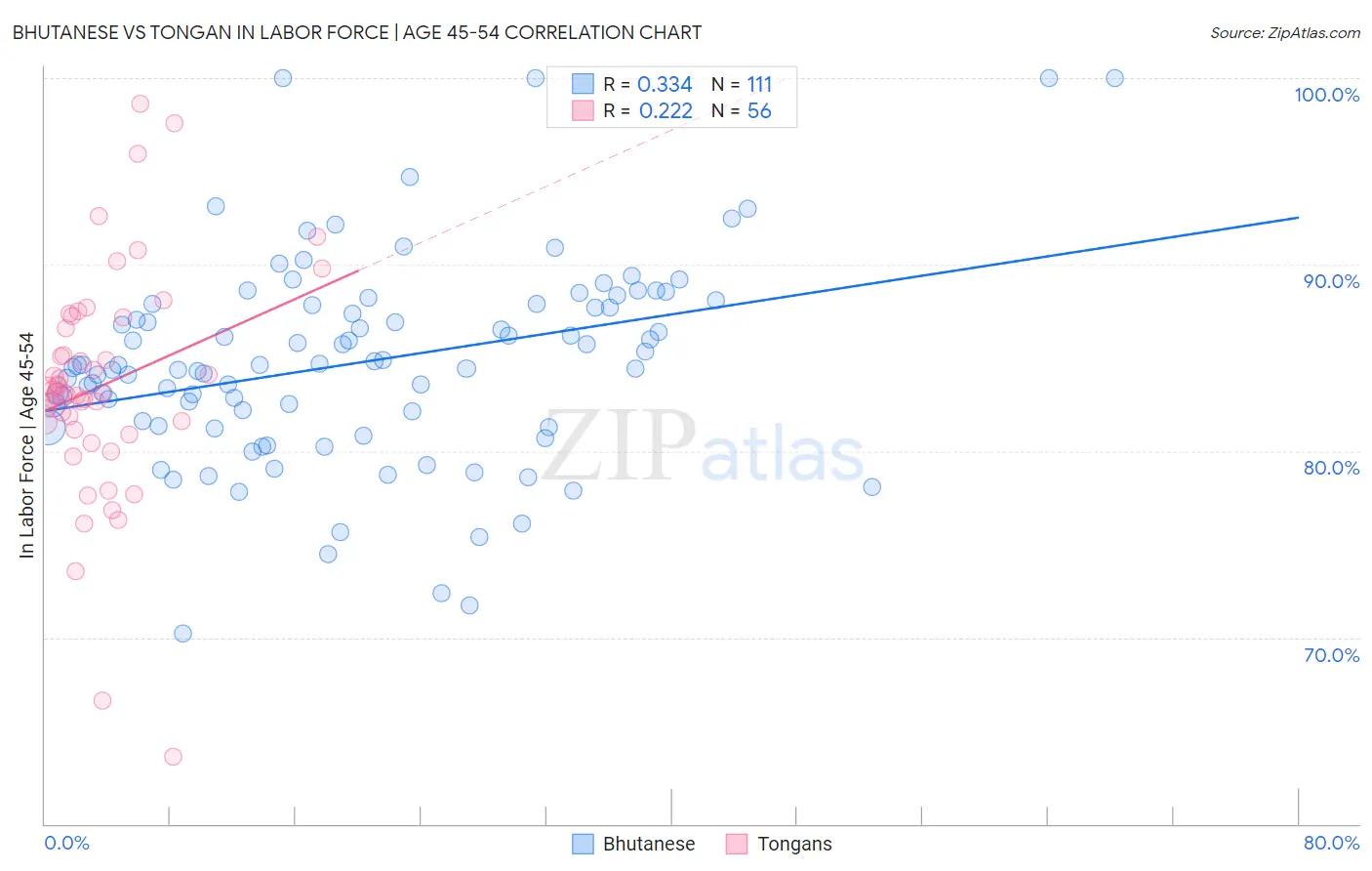 Bhutanese vs Tongan In Labor Force | Age 45-54