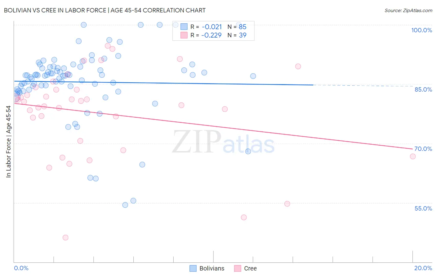 Bolivian vs Cree In Labor Force | Age 45-54