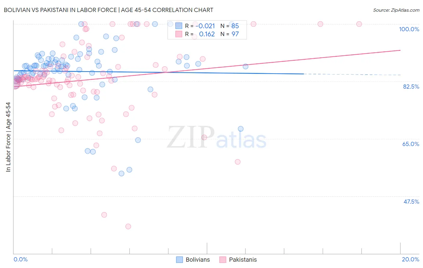 Bolivian vs Pakistani In Labor Force | Age 45-54