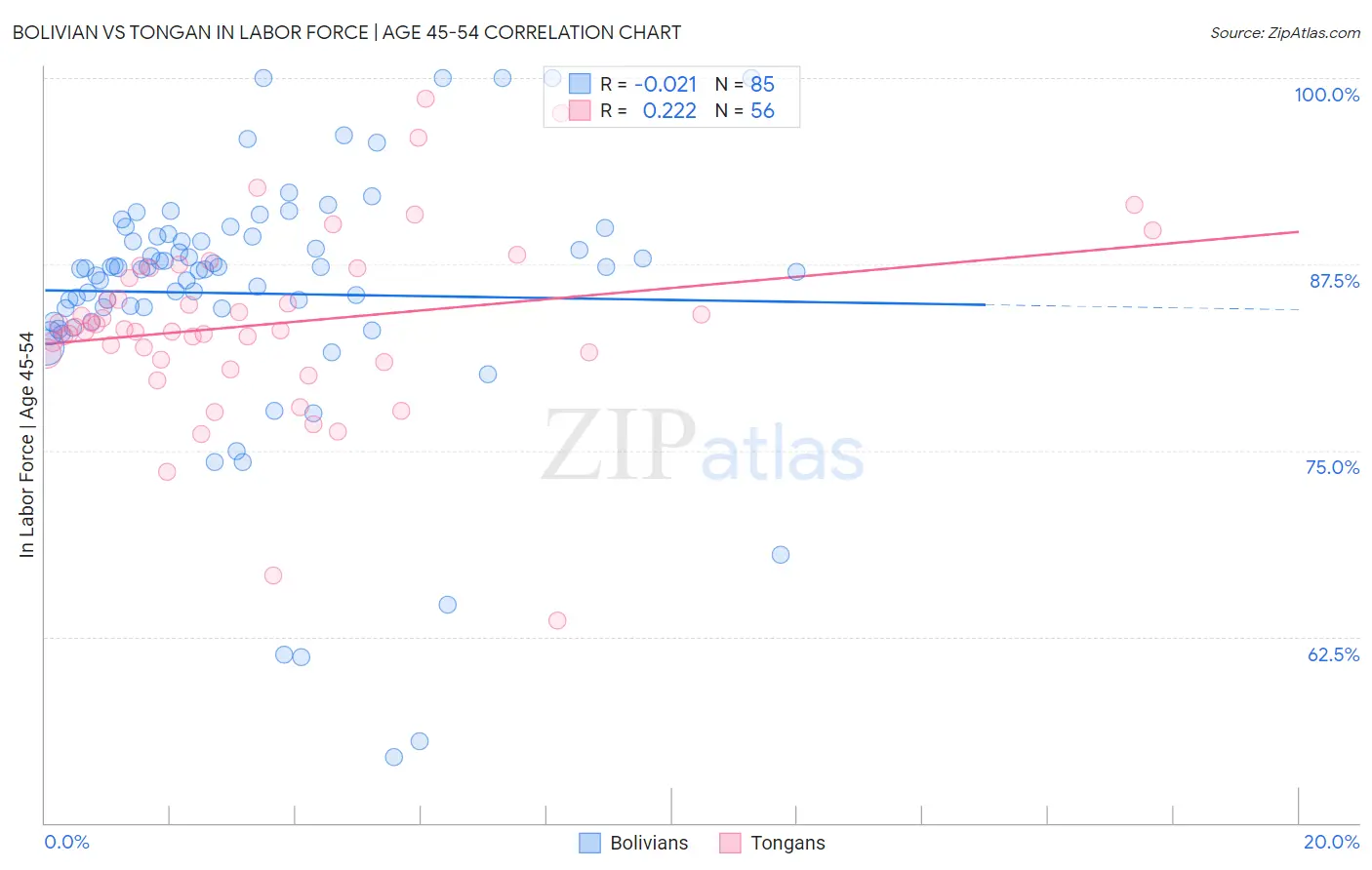 Bolivian vs Tongan In Labor Force | Age 45-54