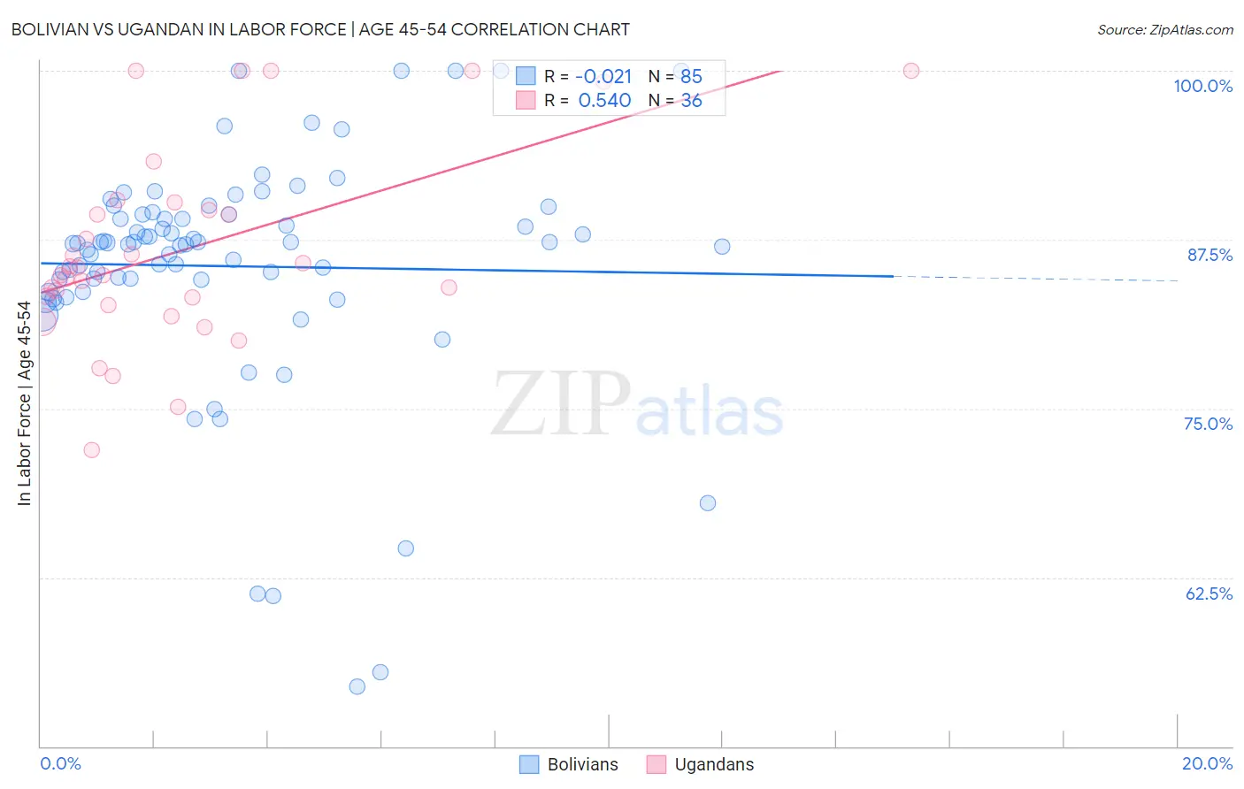 Bolivian vs Ugandan In Labor Force | Age 45-54