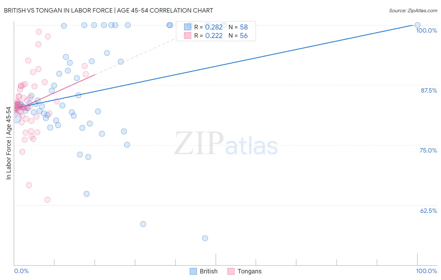 British vs Tongan In Labor Force | Age 45-54