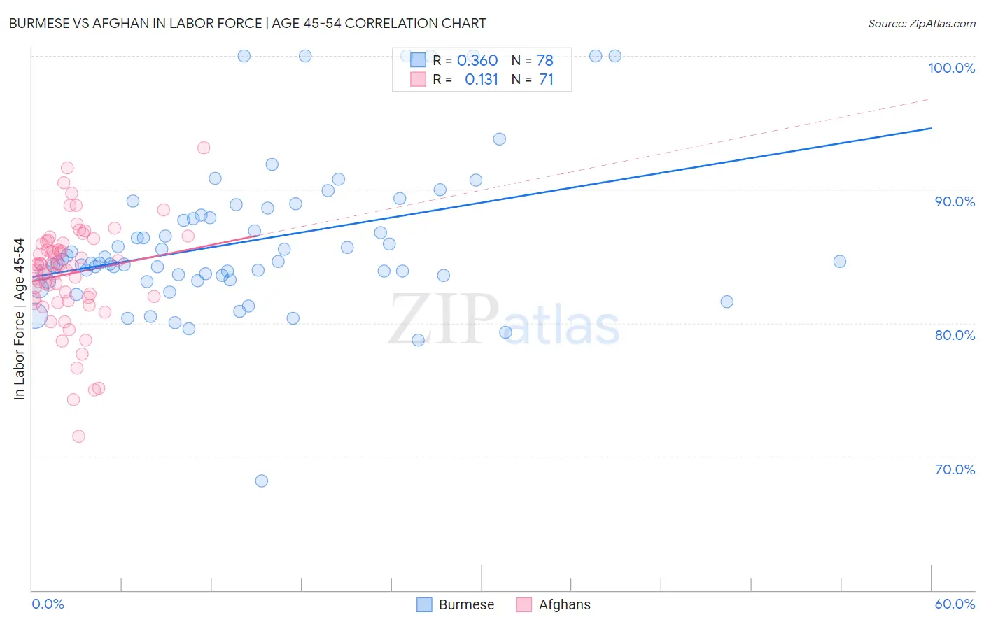 Burmese vs Afghan In Labor Force | Age 45-54