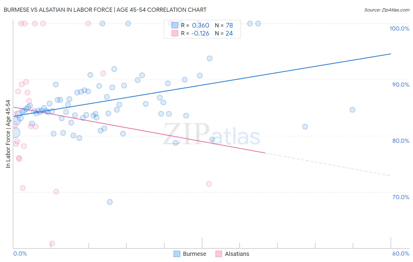 Burmese vs Alsatian In Labor Force | Age 45-54