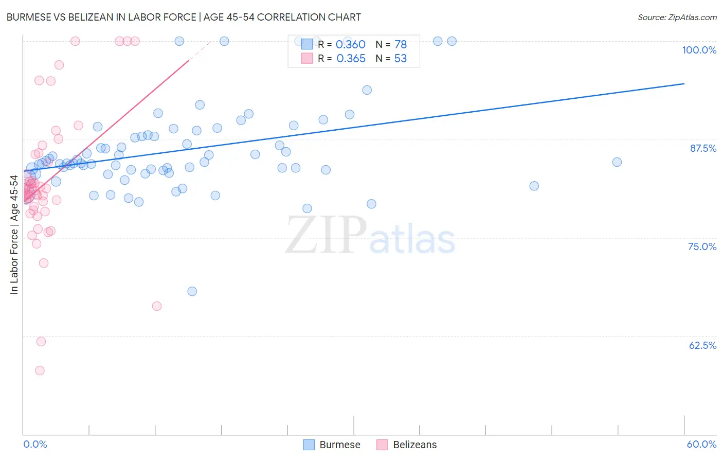 Burmese vs Belizean In Labor Force | Age 45-54