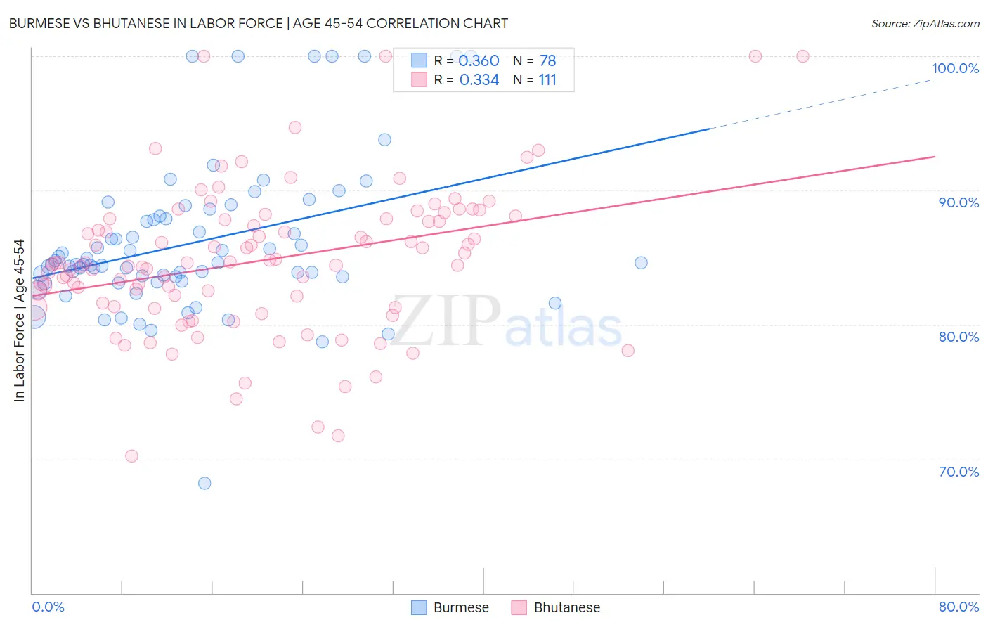 Burmese vs Bhutanese In Labor Force | Age 45-54