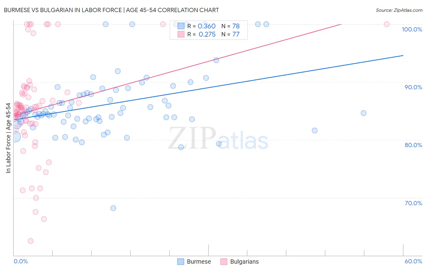 Burmese vs Bulgarian In Labor Force | Age 45-54