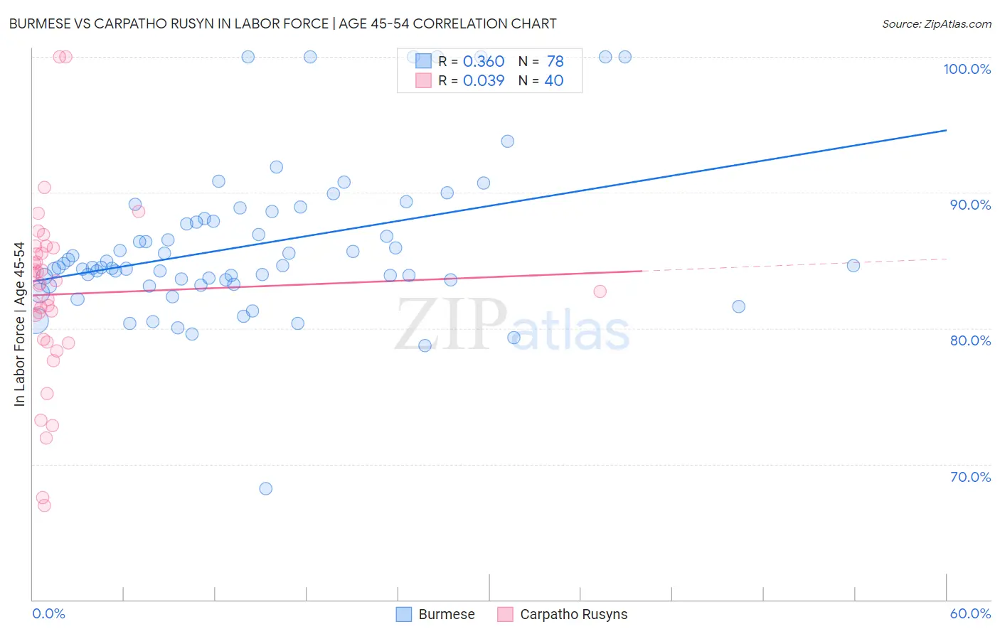 Burmese vs Carpatho Rusyn In Labor Force | Age 45-54