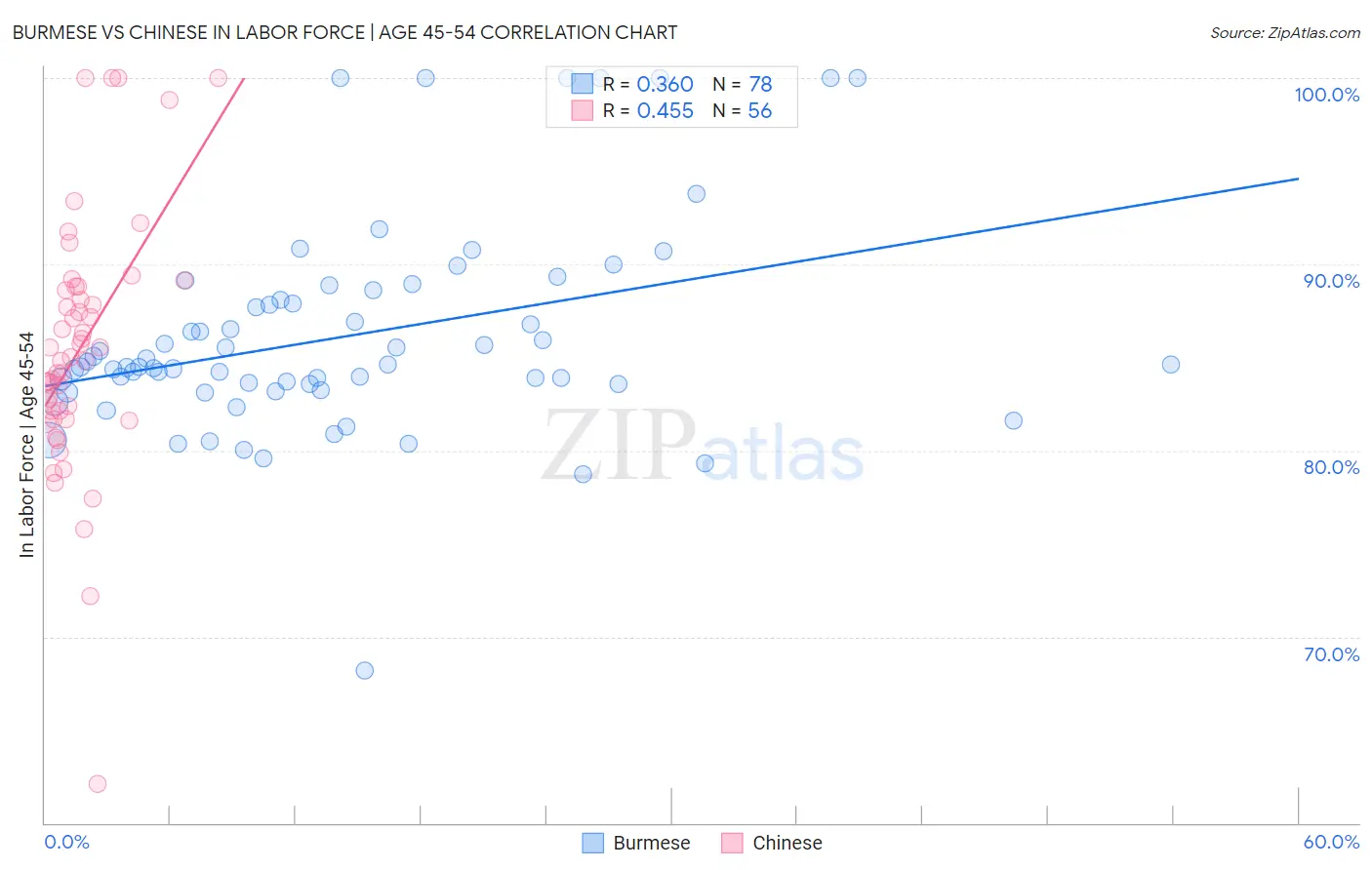 Burmese vs Chinese In Labor Force | Age 45-54