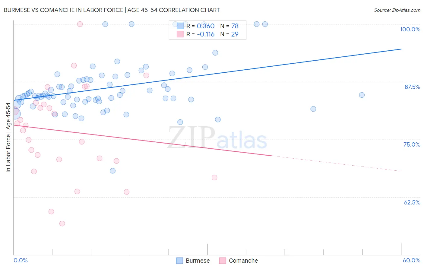 Burmese vs Comanche In Labor Force | Age 45-54