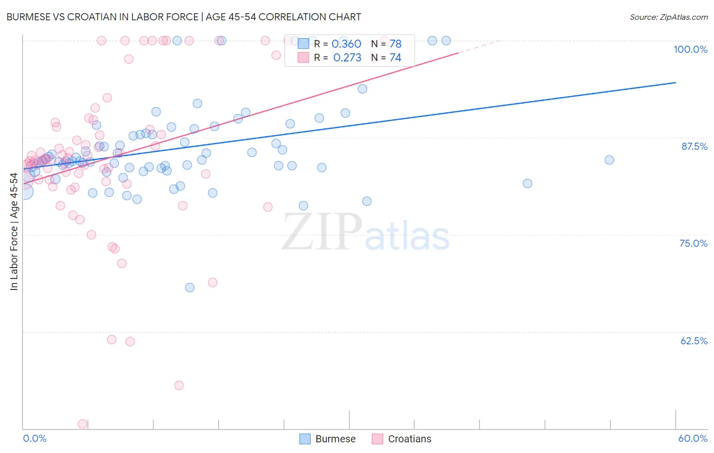 Burmese vs Croatian In Labor Force | Age 45-54