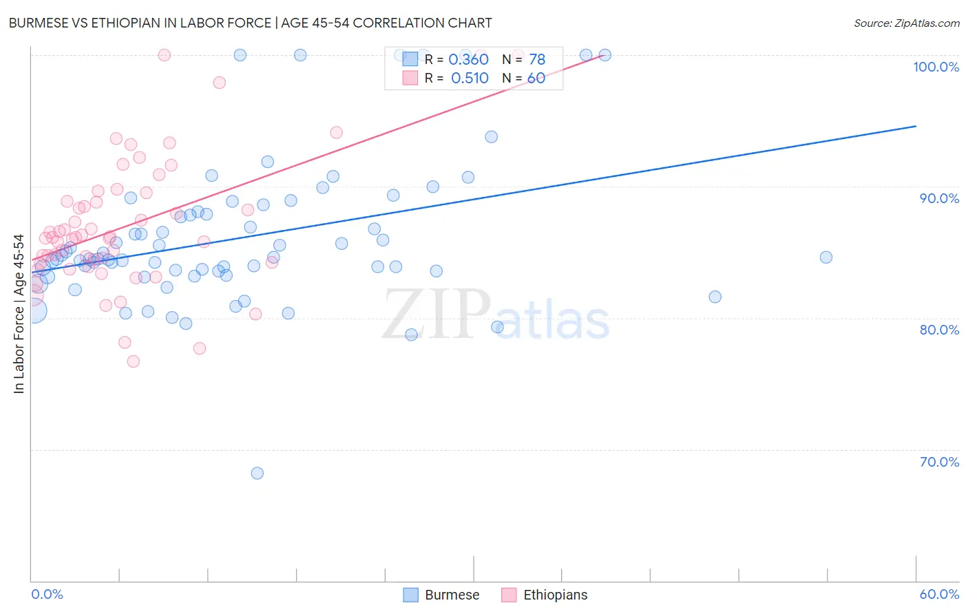 Burmese vs Ethiopian In Labor Force | Age 45-54