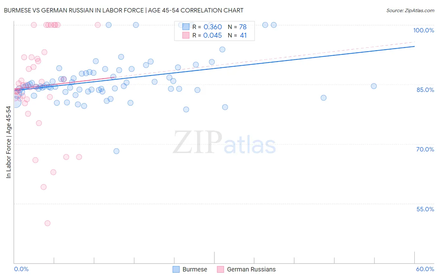 Burmese vs German Russian In Labor Force | Age 45-54