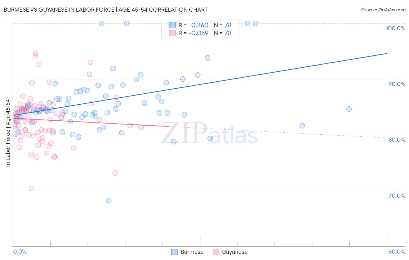 Burmese vs Guyanese In Labor Force | Age 45-54