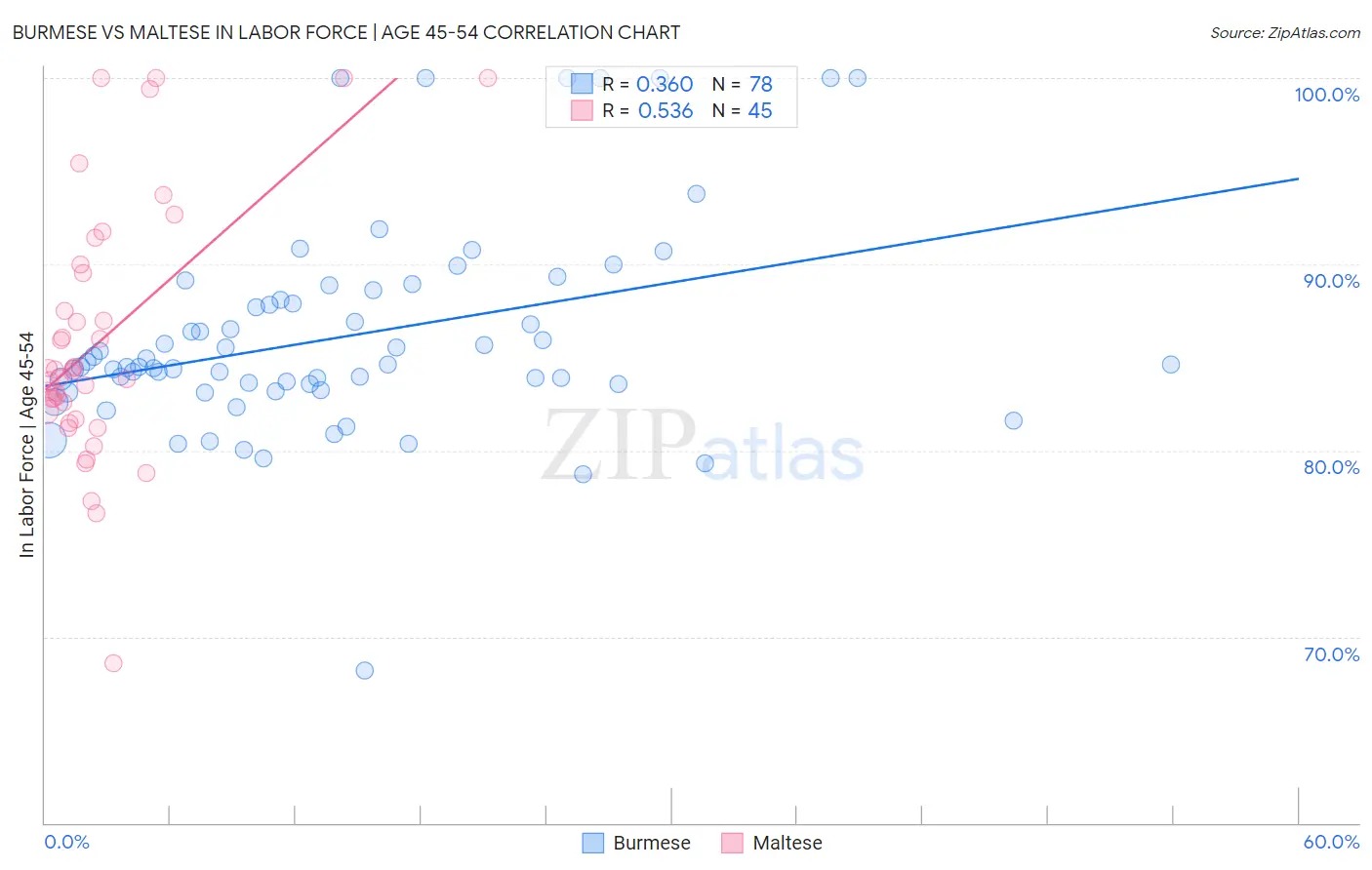 Burmese vs Maltese In Labor Force | Age 45-54