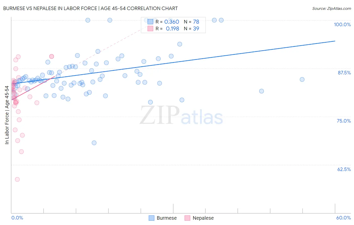 Burmese vs Nepalese In Labor Force | Age 45-54