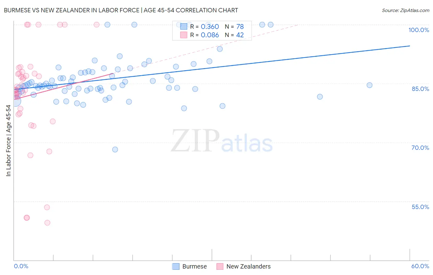Burmese vs New Zealander In Labor Force | Age 45-54