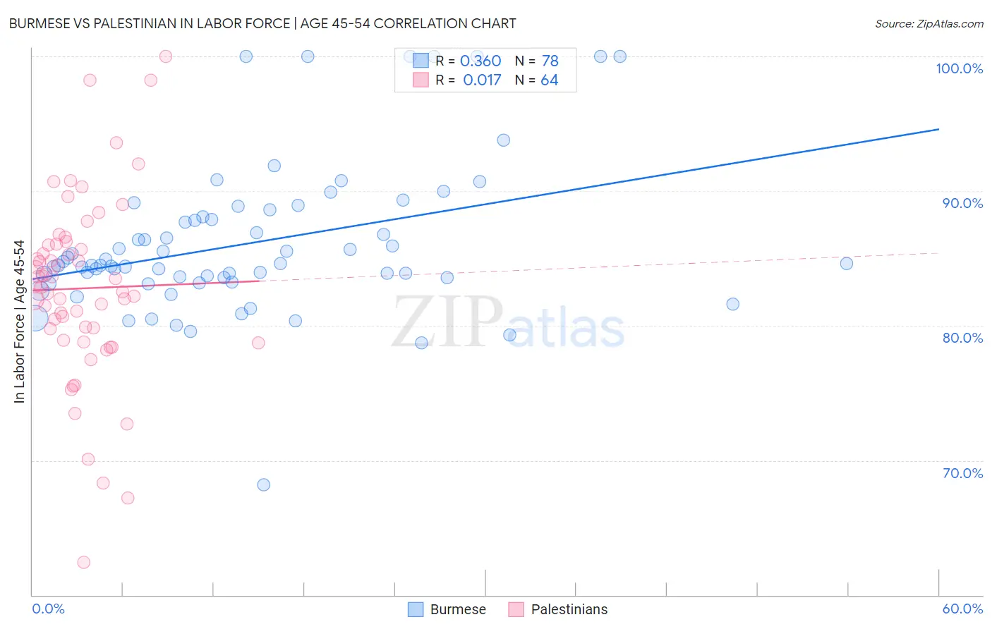 Burmese vs Palestinian In Labor Force | Age 45-54