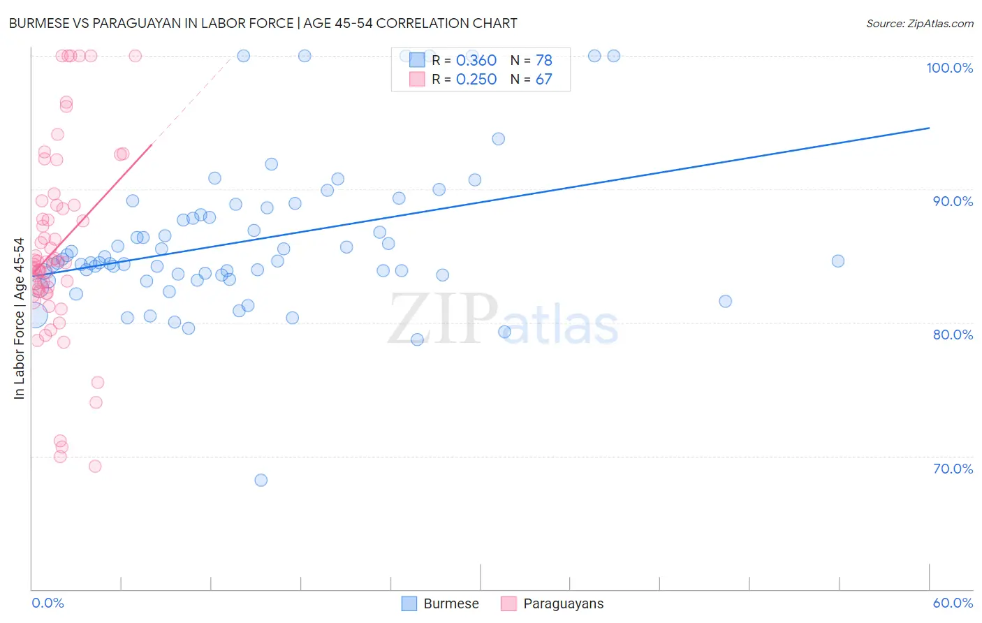 Burmese vs Paraguayan In Labor Force | Age 45-54