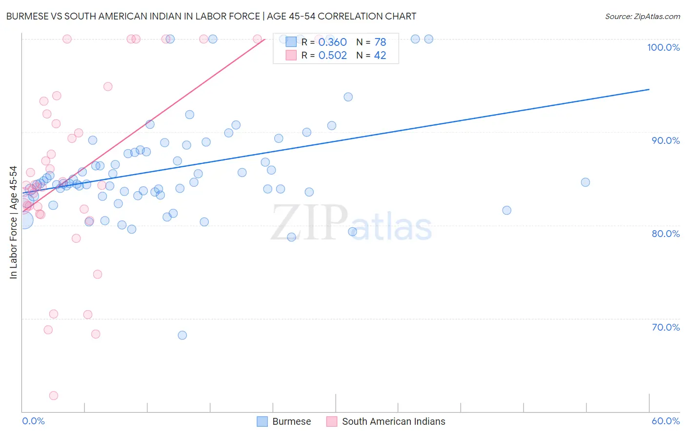 Burmese vs South American Indian In Labor Force | Age 45-54